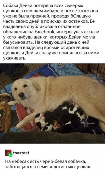 Горячее