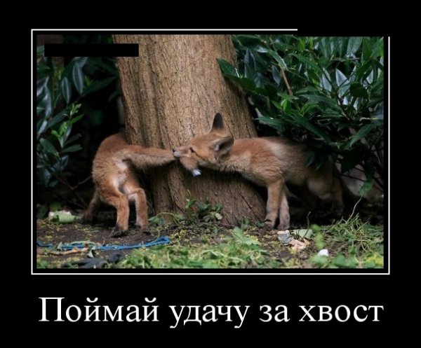 Поймай удачу
