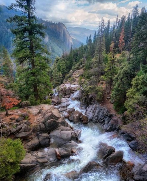 23-04-42-182683856 936021007187035 1607870901656769490 n