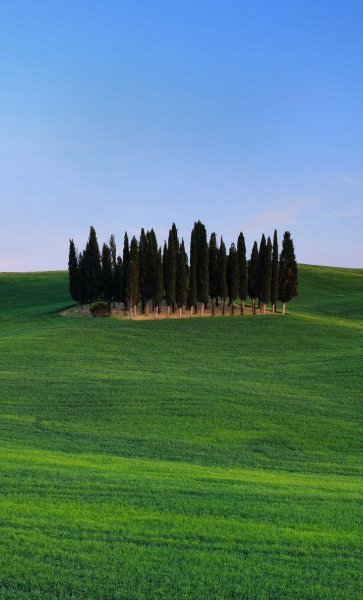 Screenshot 20250321-124545 One UI Home