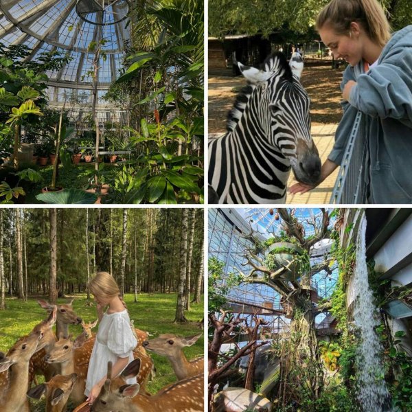 -5417876102174599276 121