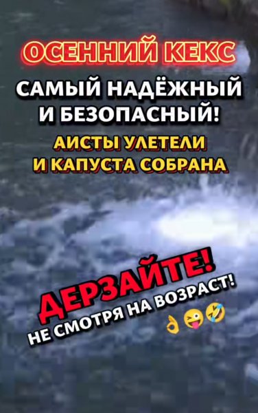 IMG 20260903 220726