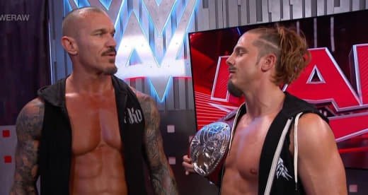 WWE (325)