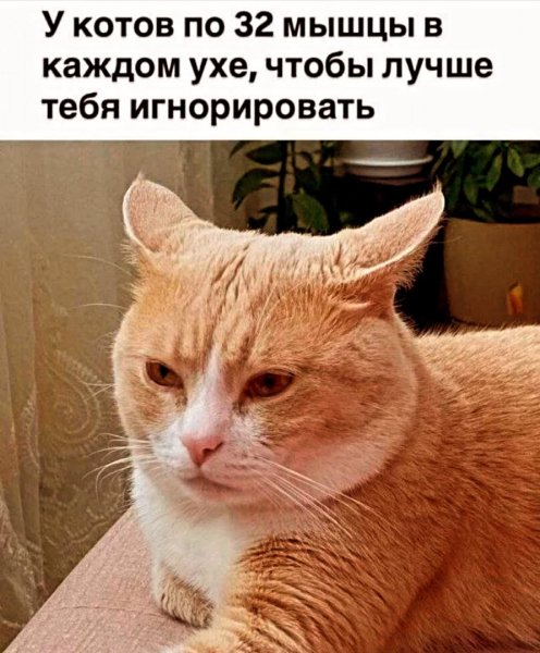 Madam plus ab22e65787c746a18b6f09a9d879d0f5