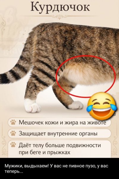 Hghh