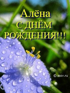 Алена,с днём рождения