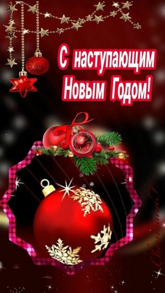 Друзья мои!