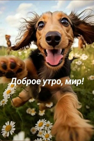 Да!!!