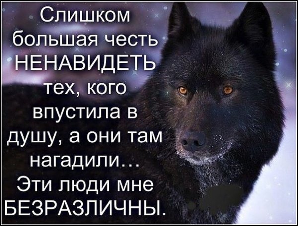 IMG 20161211 191920 15