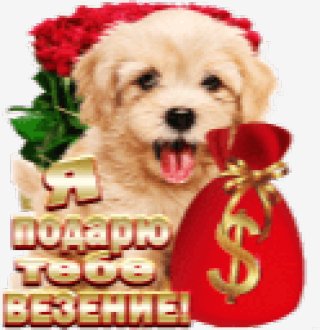 ya podaryu tebe vezenie