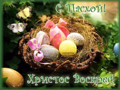 FB IMG 15232139048602295