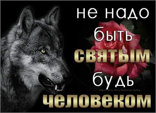 FB IMG 1627231199400