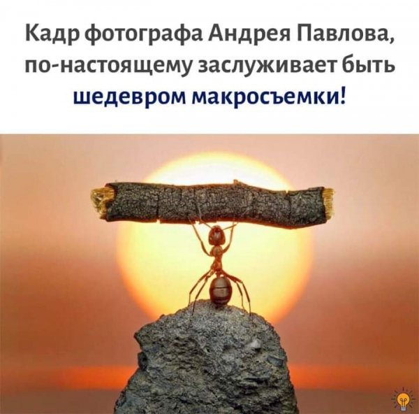 FB IMG 1623871024852