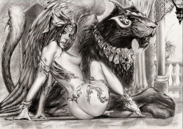 IMG 20180602 003150 1