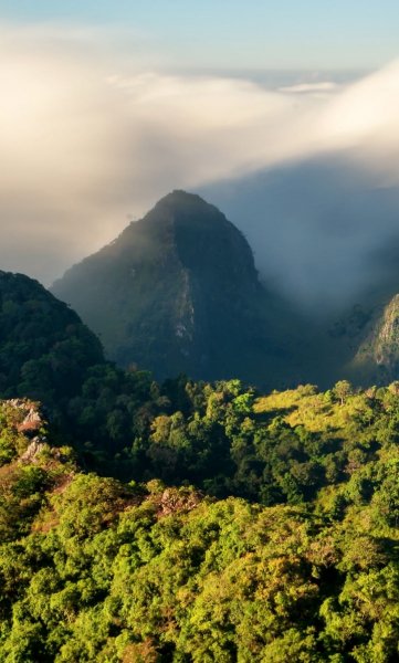 Screenshot 20240516-131336 One UI Home