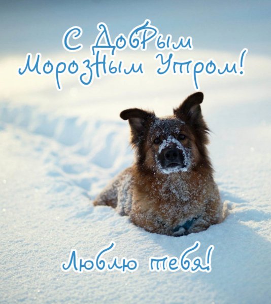 Люблю тебя!