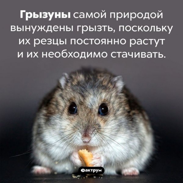 e64ca95e0fe0ea696b3fe62f88b68