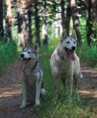 images (18)