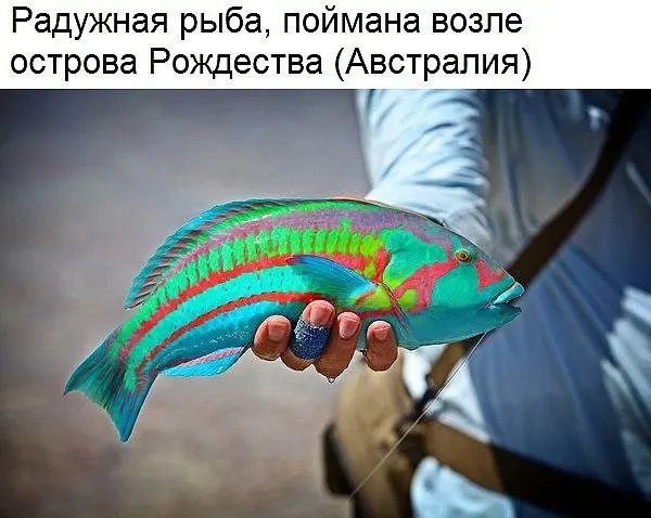 IMG 20220821 132703