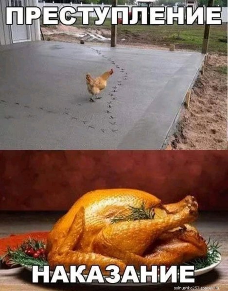 IMG 20221120 202122-