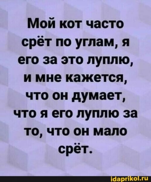 b3b5dd96978648bbbd429ad28055a56e51b97a557c87760a65a881dea08