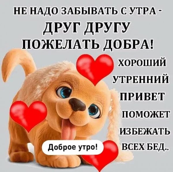 IMG-20210505-WA0002