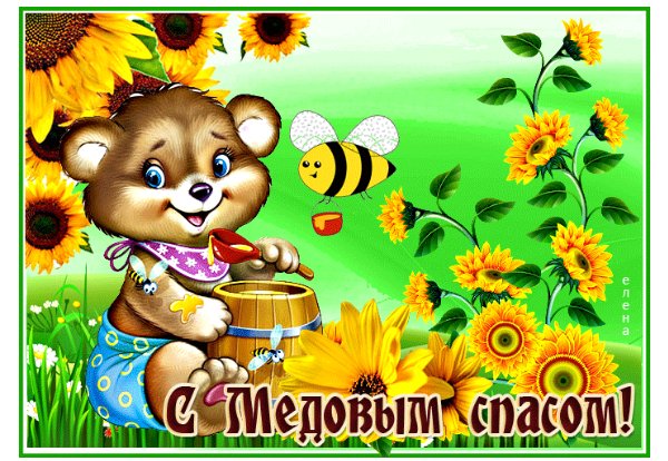 IMG 20210814 160724