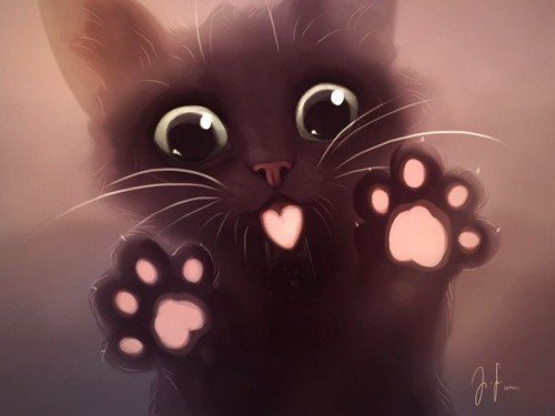 Красивый котик
