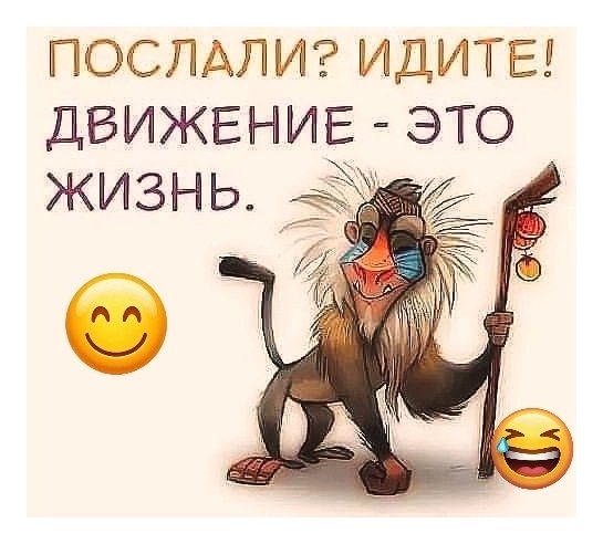 LeAqdVtLQHs