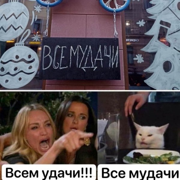 Все мудачи