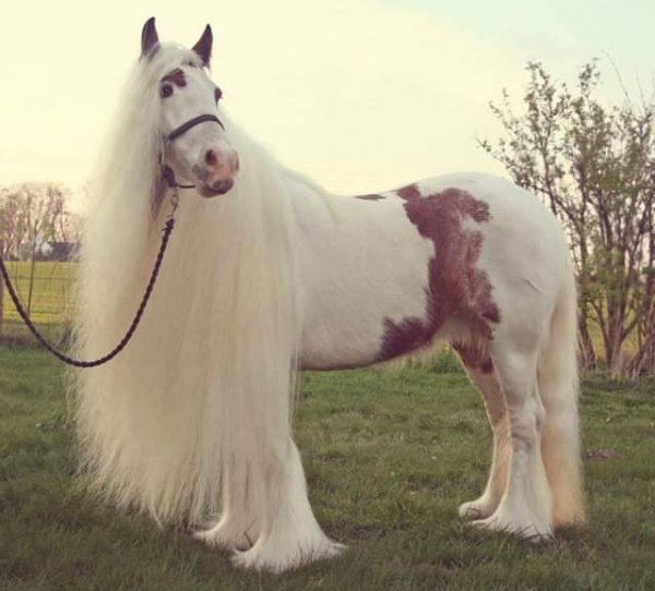 FB IMG 1549172605499