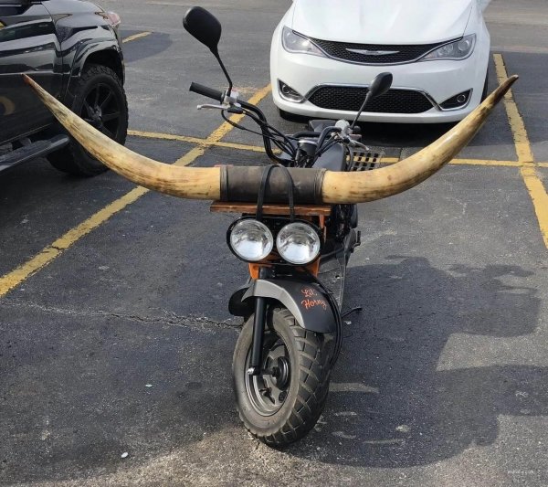 Бык