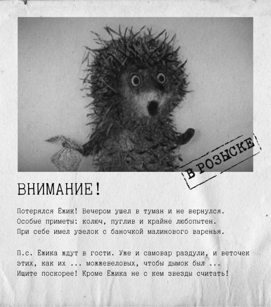 Ёжа потерялся 00