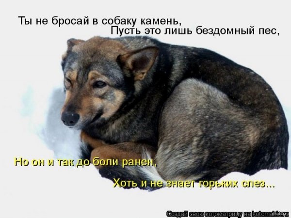 Без комментариев