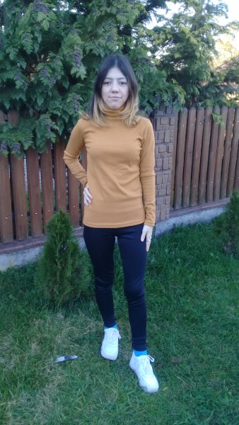picture_334183604