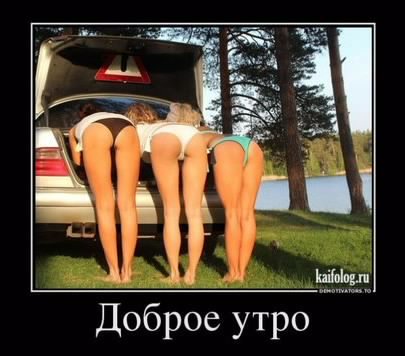 picture_218220720