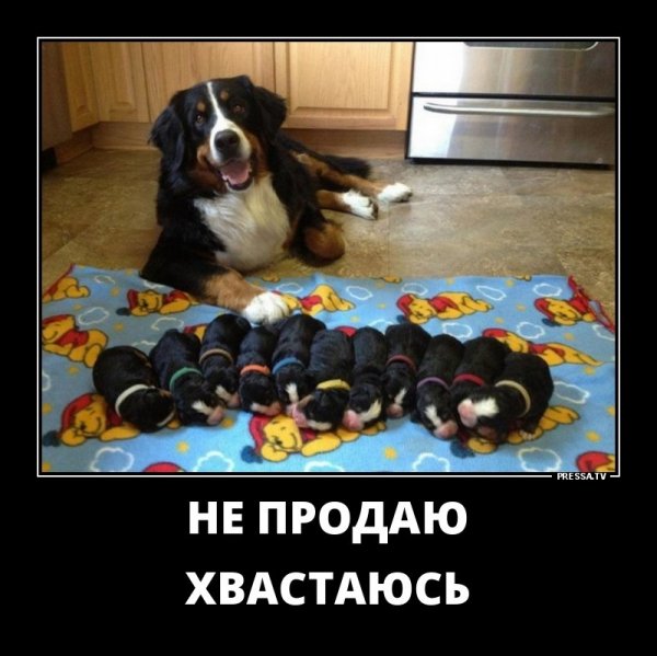 Не продаю