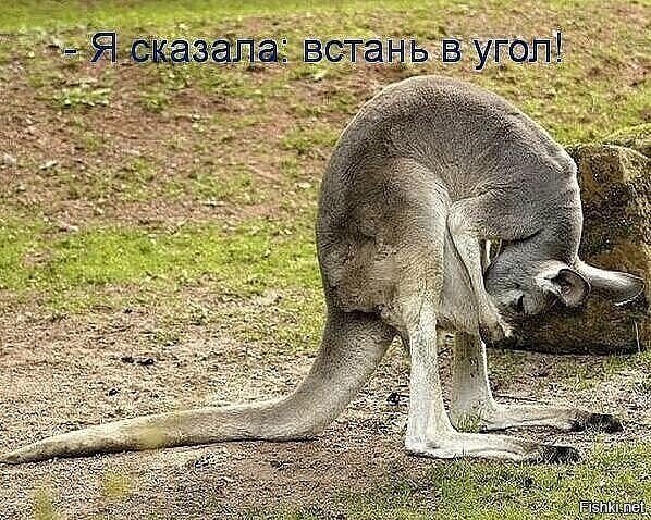))