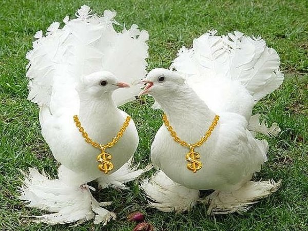 377
