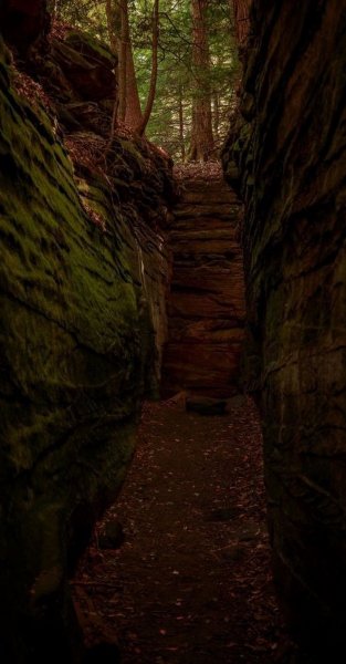 Арт Природа