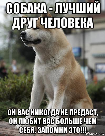 Запомни это!!!