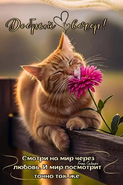 c5f542c14f6e8678c26f15c404c