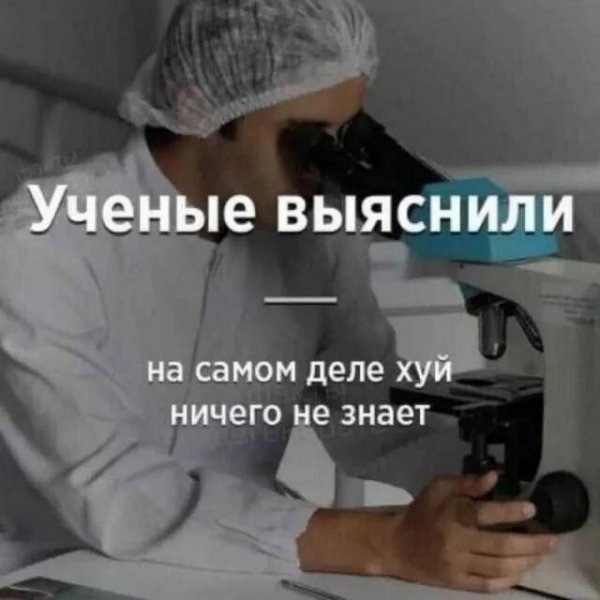 B6e13353a2 19980697