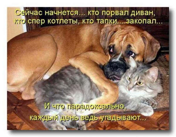 Угадывают...