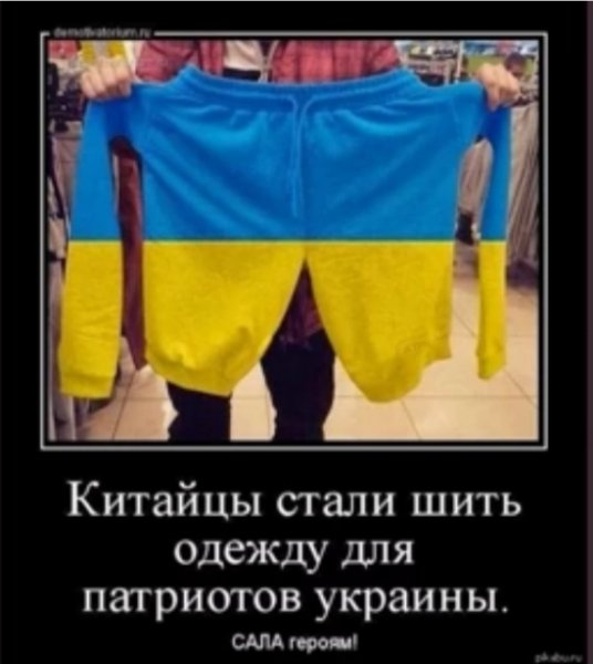 IMG 20250412 185327