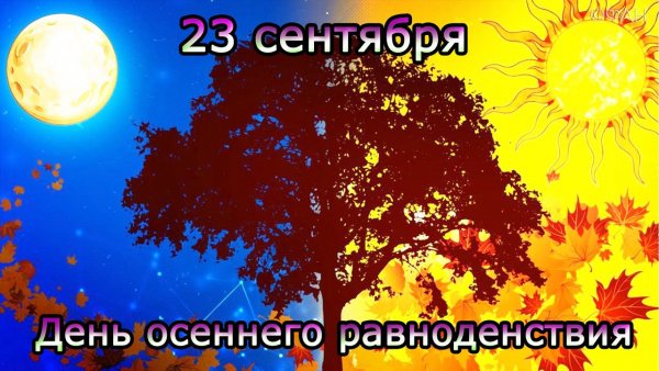 Изображение viber 2022-09-23 04-00-17-223