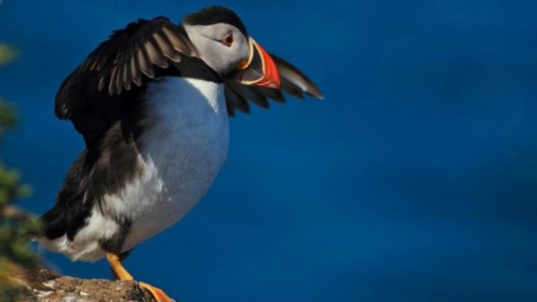 I - 2025-08-23T020559.568