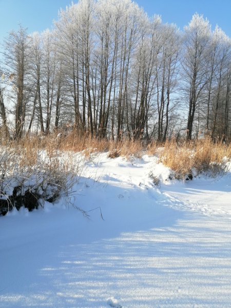 Рыбалка