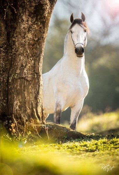 Dc75be7b7e0c4a8d61bea14e401b284a