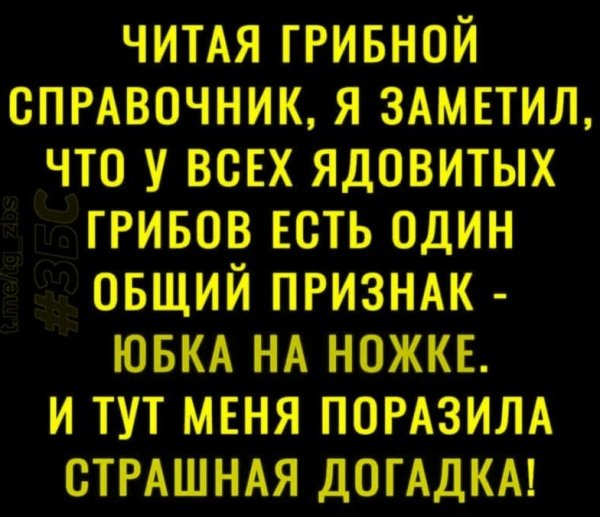 Страшная догадка